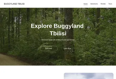 Screenshot of buggy.ge