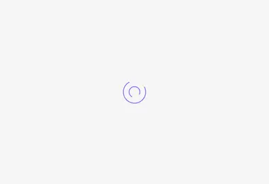 Screenshot of burgerito.ge