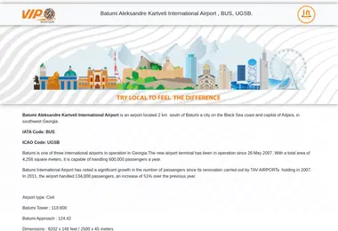 Screenshot of bushandling.ge