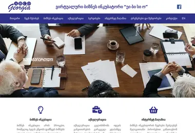 Screenshot of businessincubator.ge