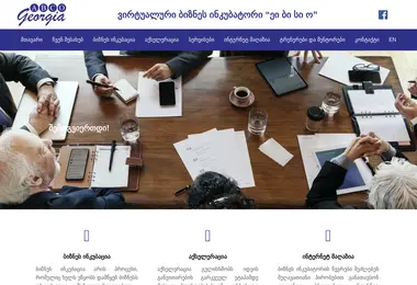 Скриншот businessincubator.ge