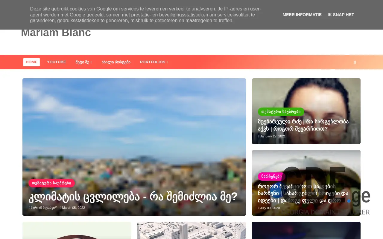 Screenshot of the site busuna.ge at 2025-11-28