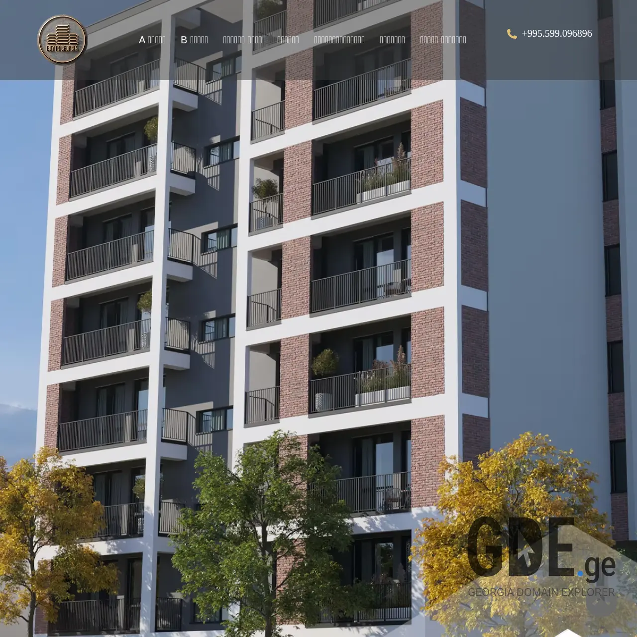 Screenshot of the site buyingeorgia.ge at 2025-12-07