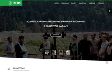 Скриншот cactus-journalism.ge