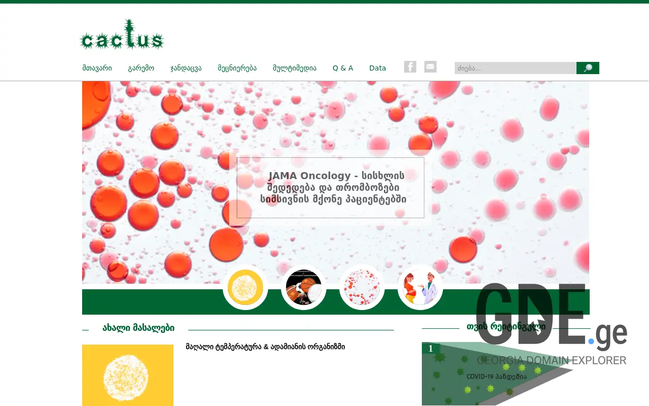 Screenshot of the site cactus-media.ge at 2025-11-28