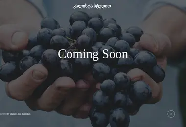 Скриншот calista.ge