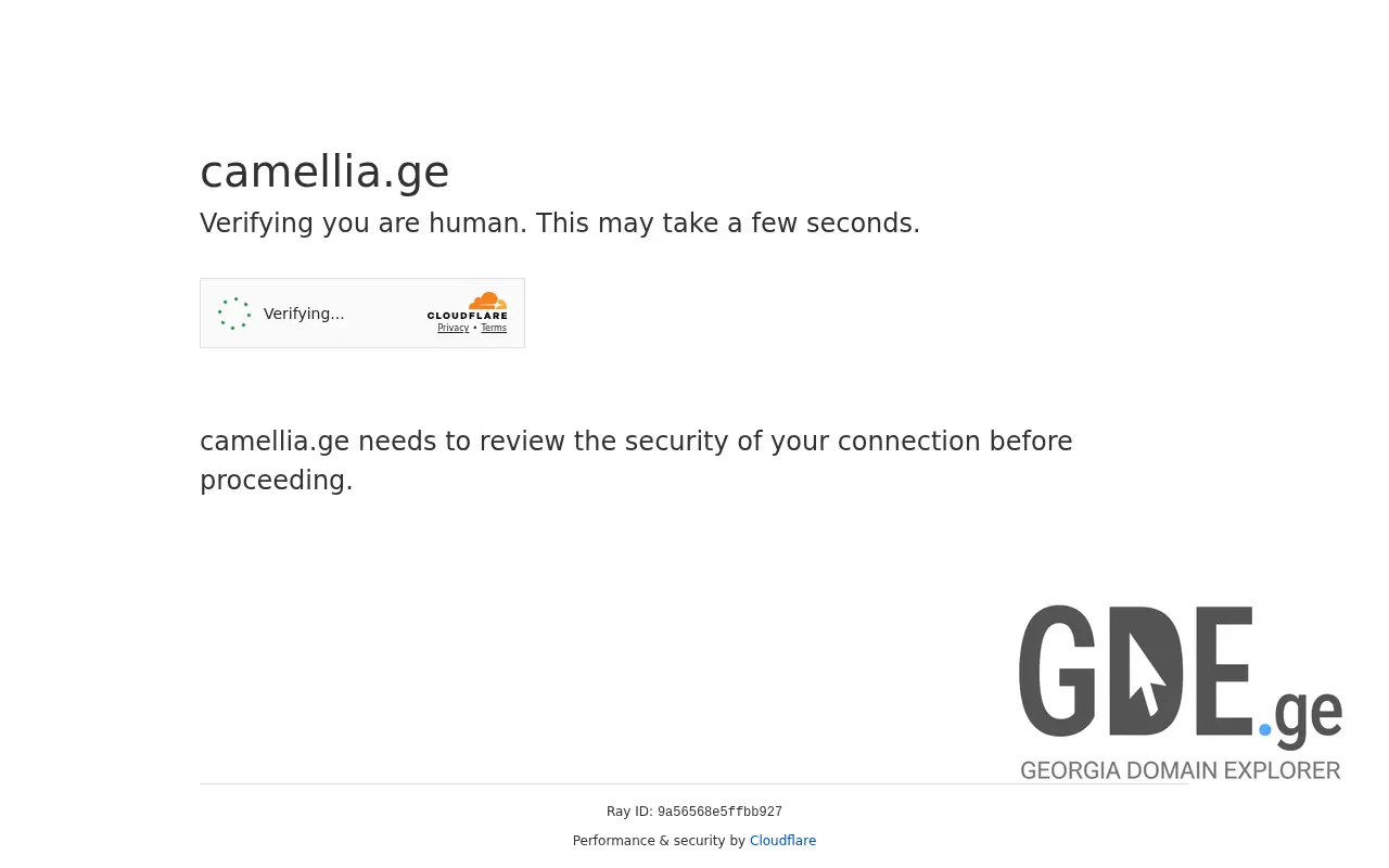 Screenshot of the site camellia.ge at 2025-11-28