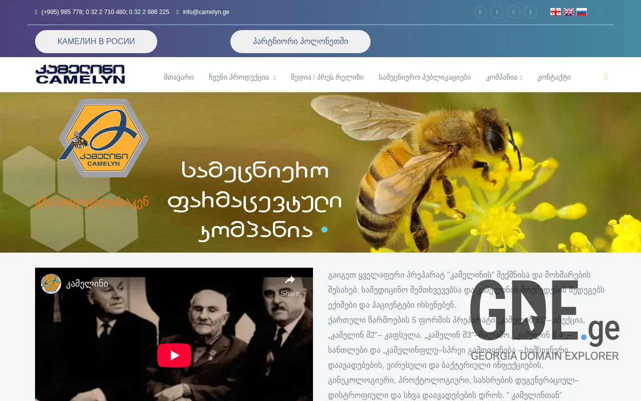 Screenshot of the site camelyn.ge at 2025-11-28
