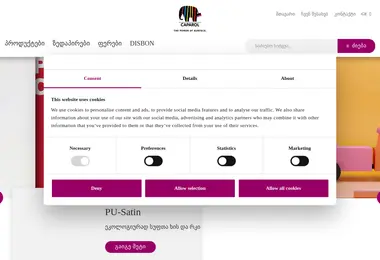 Screenshot of caparol.ge