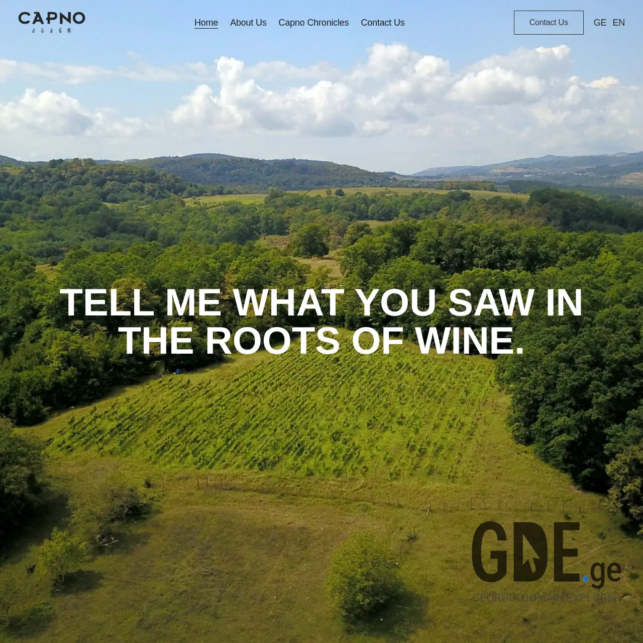 Screenshot of the site capno.ge at 2025-12-07