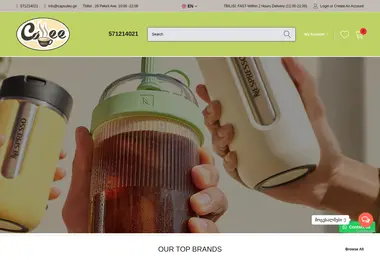 Скриншот capsules.ge