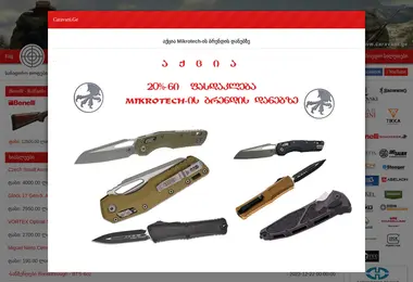 Screenshot of caravani.ge