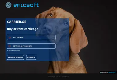 Скриншот carrier.ge