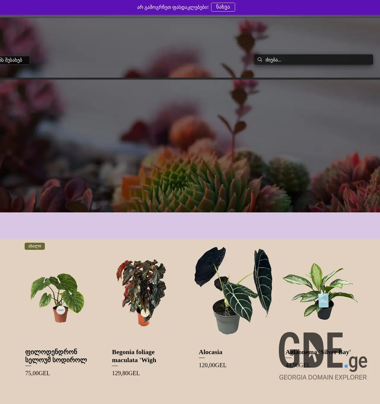 Screenshot of the site cattleya.ge at 2025-11-30