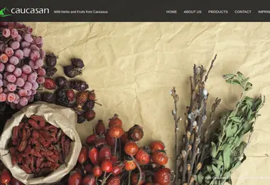 Screenshot of caucasan.ge