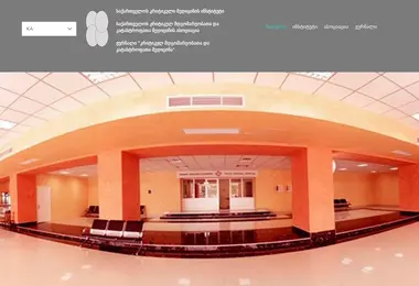 Screenshot of ccmi.edu.ge