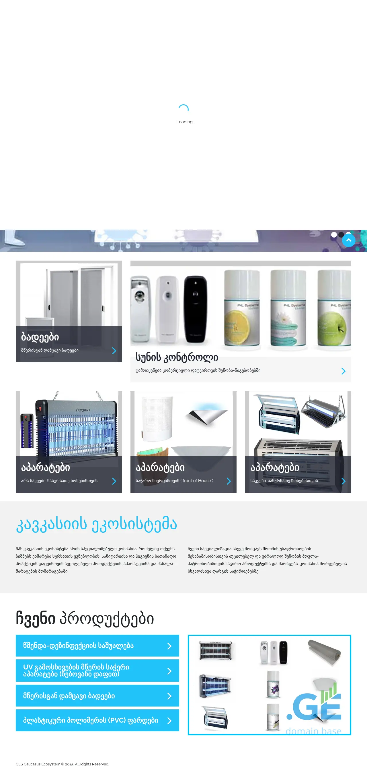 Screenshot of the site cesystem.ge at 2025-10-04