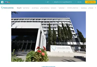 Screenshot of chapidze.ge