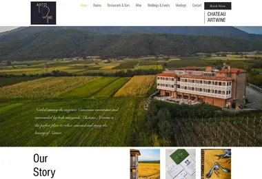 Screenshot of chateauartwine.ge