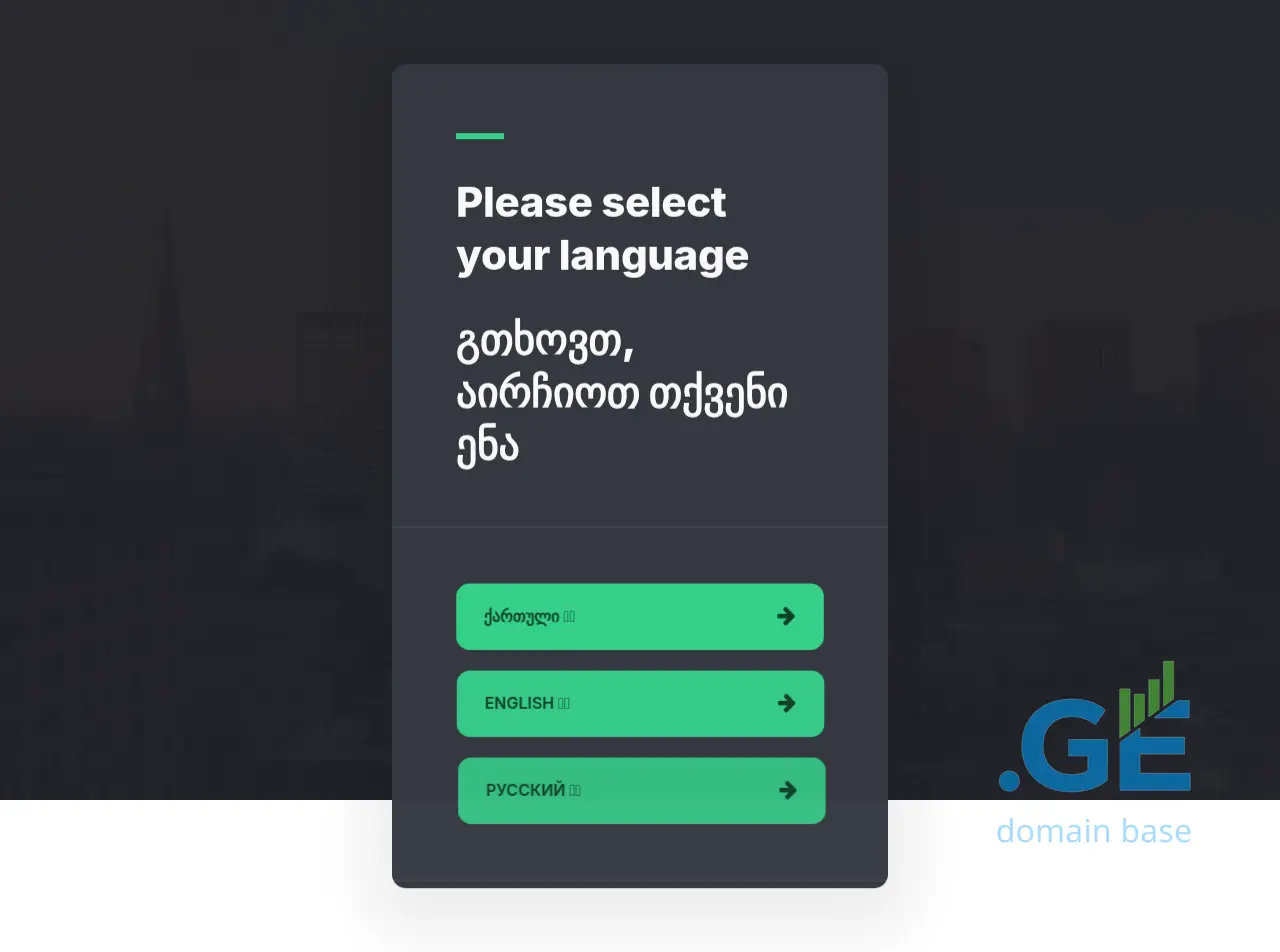 Screenshot of the site chemibiznesi.ge