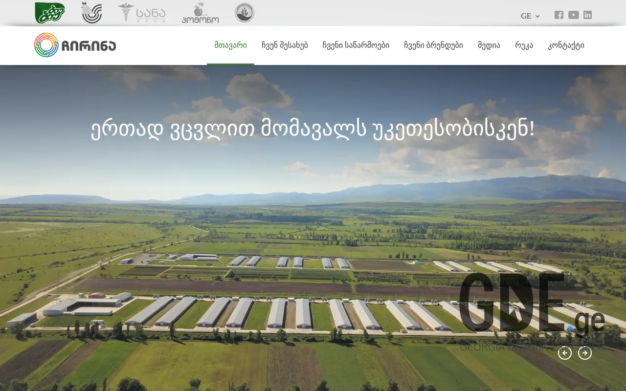 Screenshot of the site chirina.ge at 2025-11-28