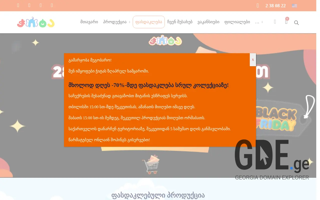 Screenshot of the site chita.ge at 2025-11-28