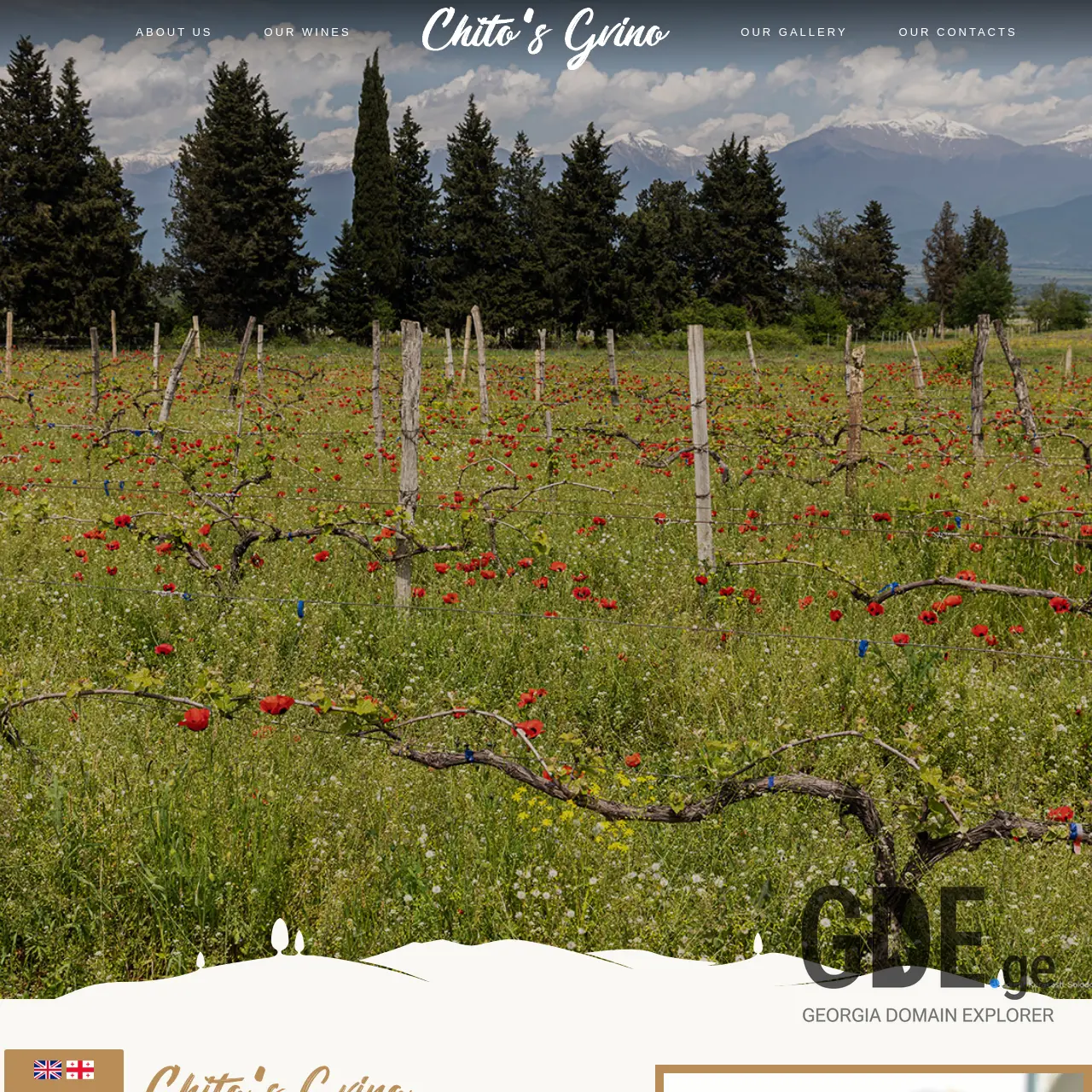 Screenshot of the site chitosgvino.ge at 2025-12-07