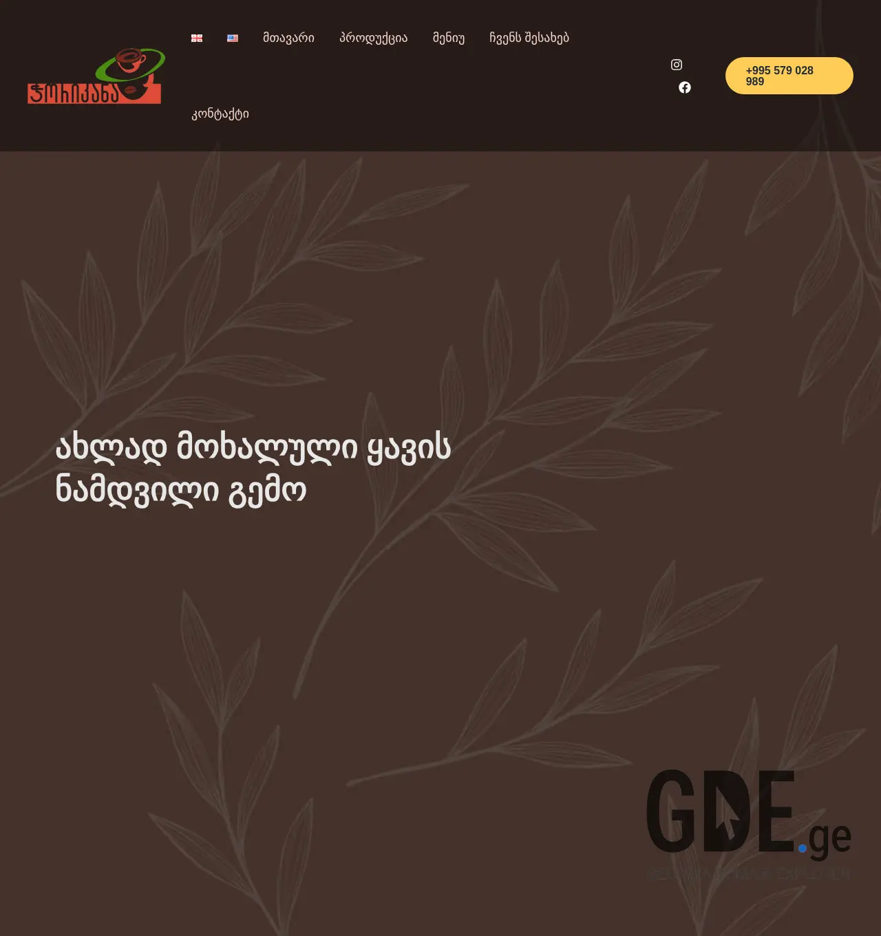 Screenshot of the site chorikana.ge at 2025-11-30