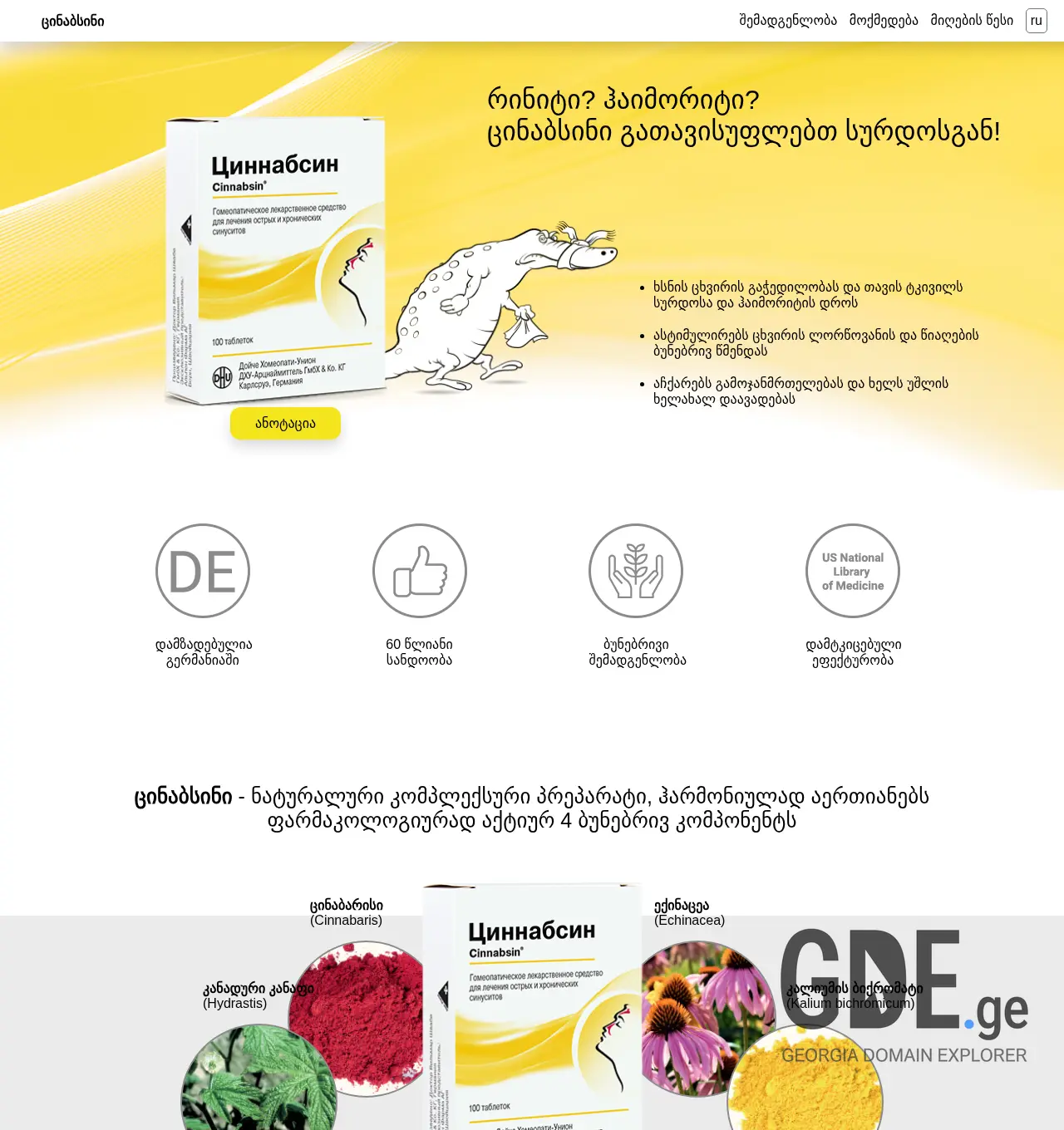 Screenshot of the site cinnabsin.com.ge at 2025-11-30