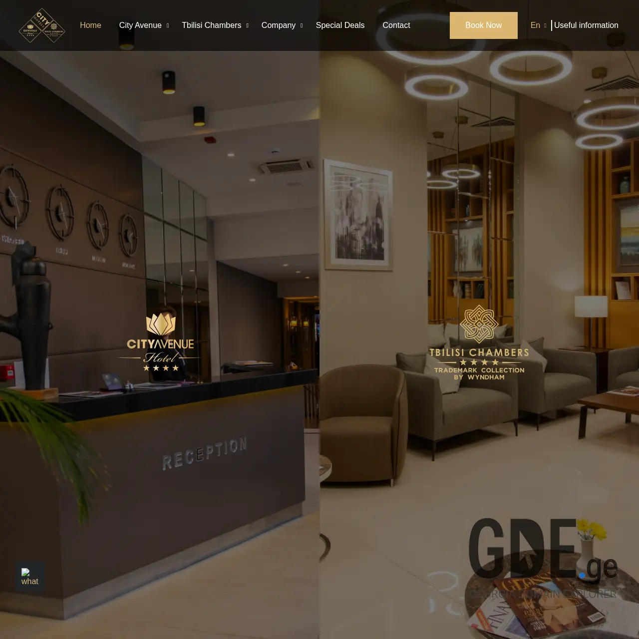 Screenshot of the site cityhotels.ge at 2025-12-19