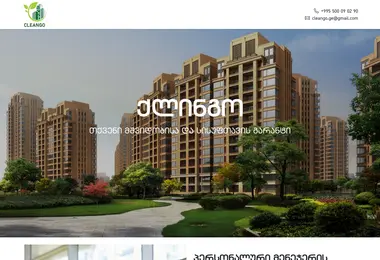 Скриншот cleango.ge