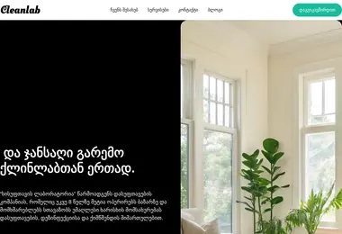 Скриншот cleanlab.com.ge