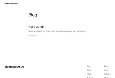 Скриншот cleanspace.ge