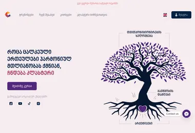 Скриншот clustermodule.ge