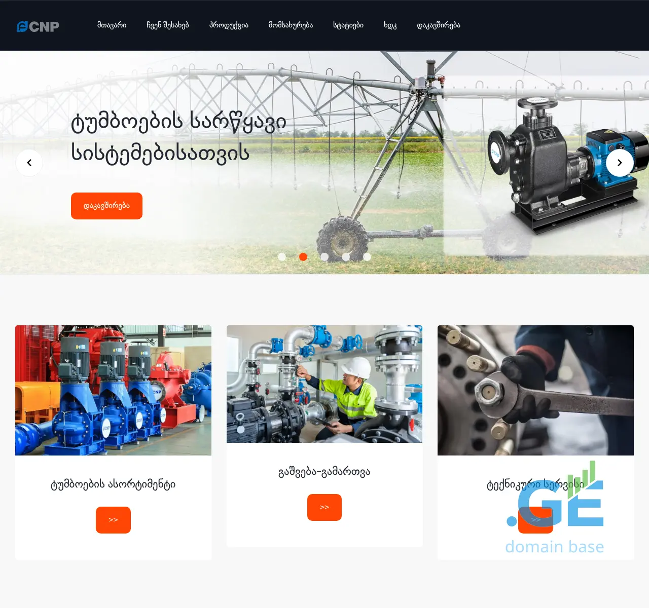 Screenshot of the site cnp.ge