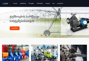 Screenshot of cnp.ge