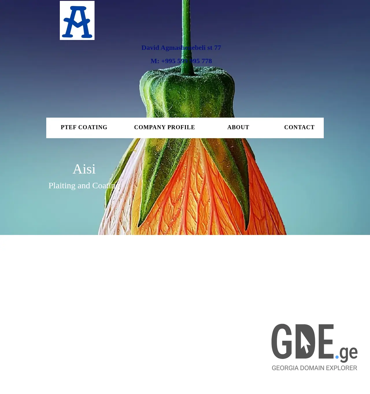 Screenshot of the site coat.ge at 2025-11-30