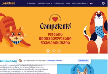 Screenshot of competento.ge