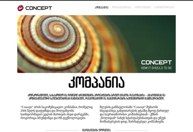 Screenshot of concept.ge