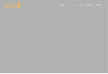 conceptdevelopment.ge-ის ეკრანის სურათი