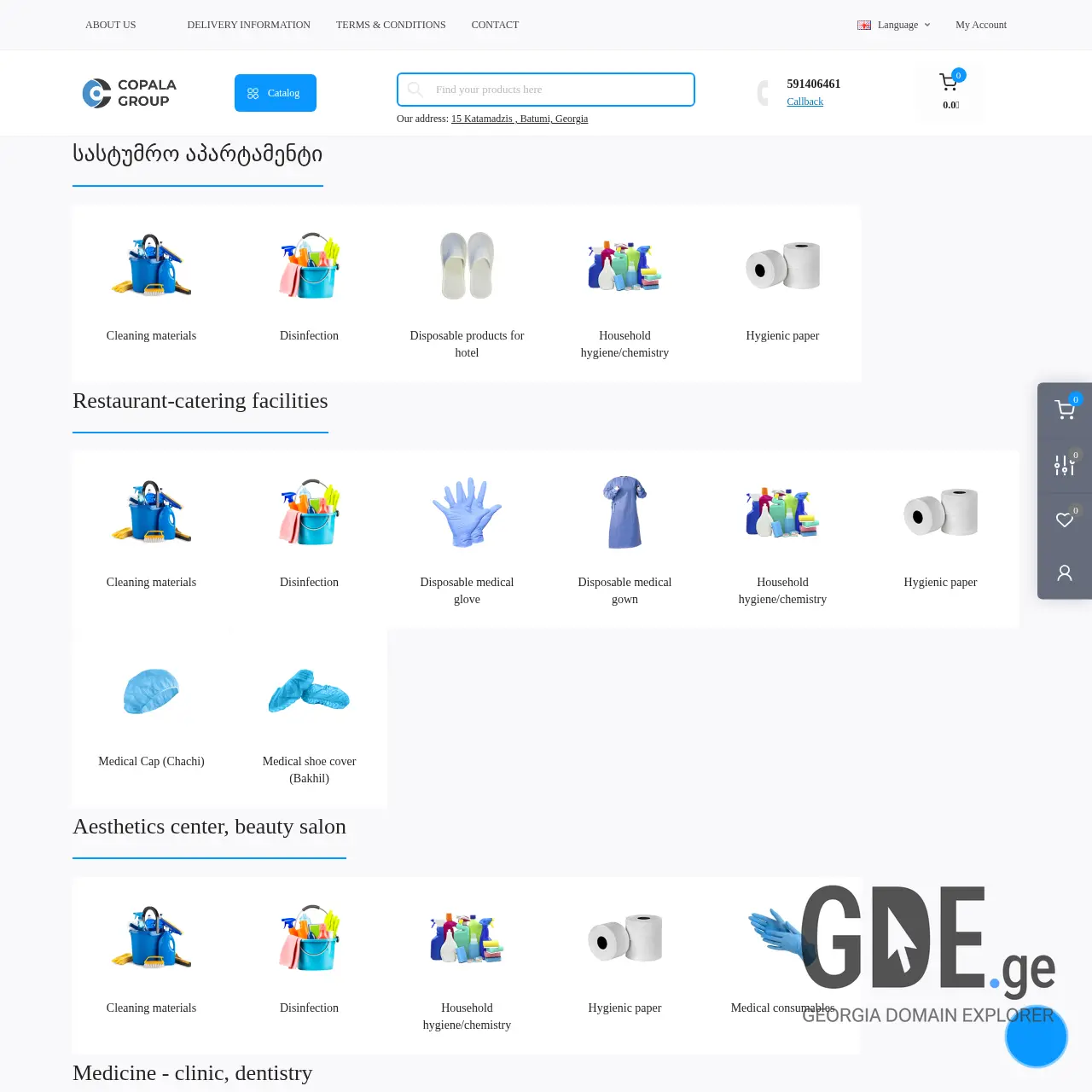 Screenshot of the site copalagroup.ge at 2025-12-07