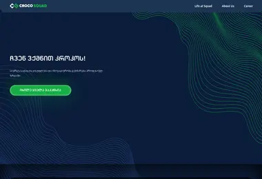 crocosquad.ge-ის ეკრანის სურათი