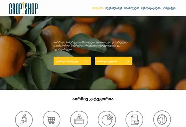 Screenshot of crop2shop.ge