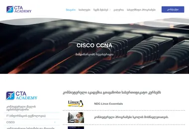 Скриншот ctaedu.ge