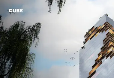 სურათი 07.12.2025-დან