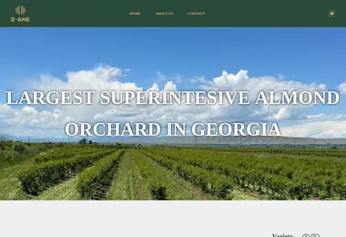 Preview from 07.12.2025