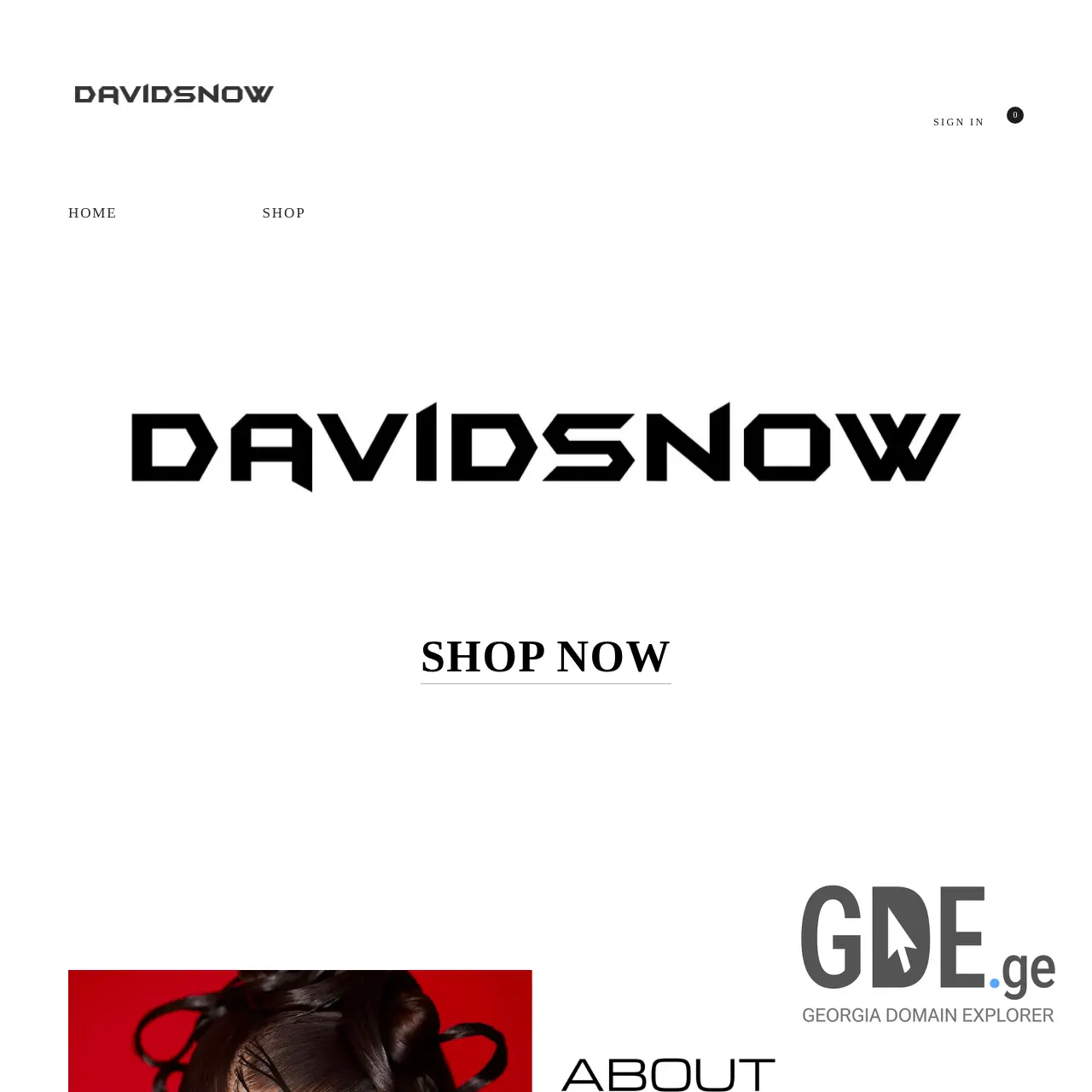 Screenshot of the site davidsnow.ge at 2025-12-07