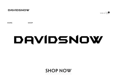 davidsnow.ge-ის ეკრანის სურათი