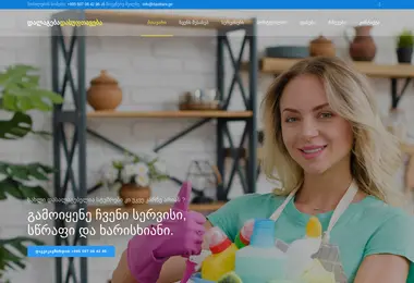 Screenshot of davitiani.ge