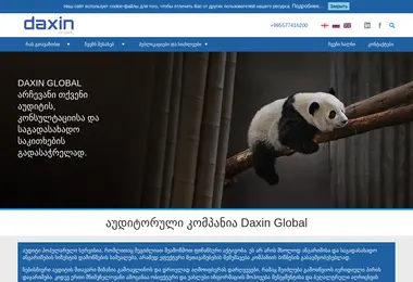 Screenshot of daxin.ge